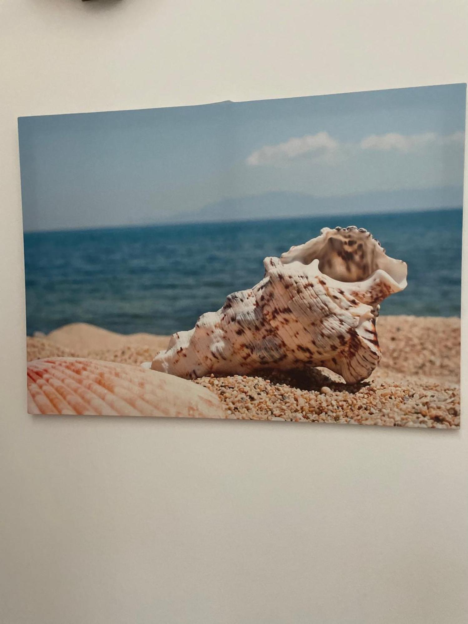 Case Vacanza Trappetodavivere Trappeto  Bagian luar foto